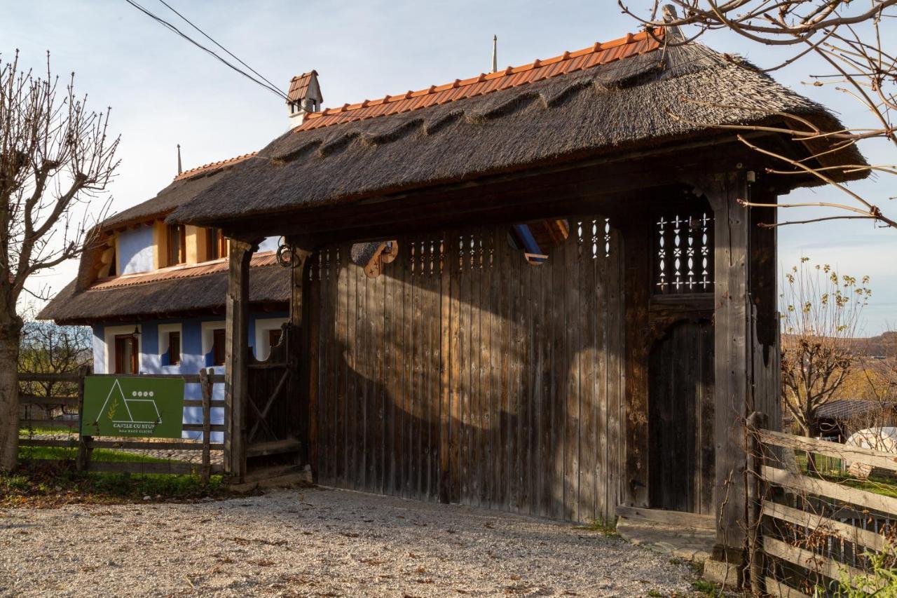 Casele Cu Stuf B&B Haus Ulrike Sălicea Exterior foto