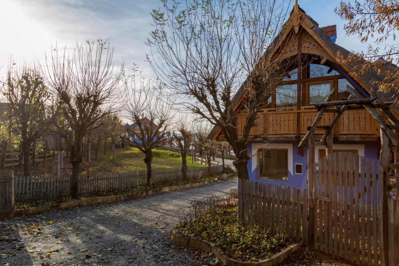 Casele Cu Stuf B&B Haus Ulrike Sălicea Exterior foto