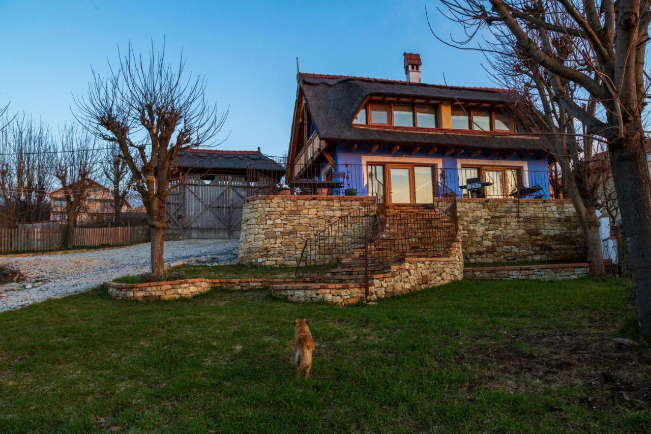 Casele Cu Stuf B&B Haus Ulrike Sălicea Exterior foto
