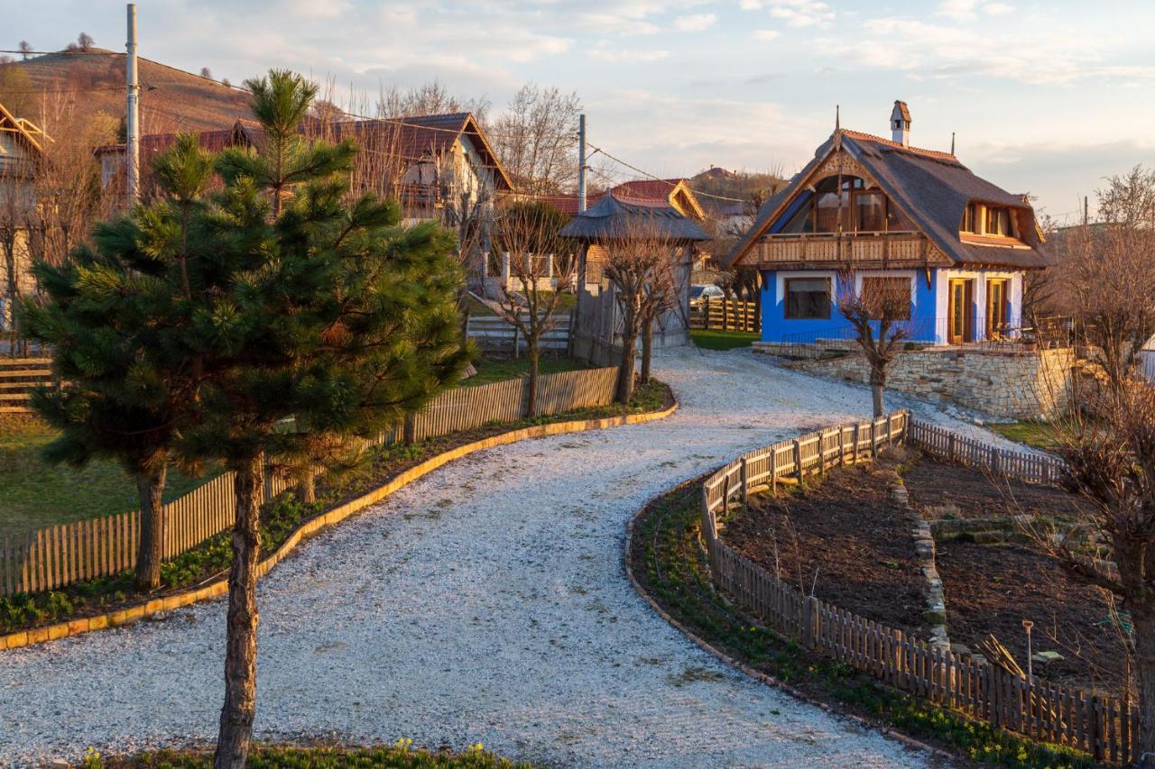 Casele Cu Stuf B&B Haus Ulrike Sălicea Exterior foto
