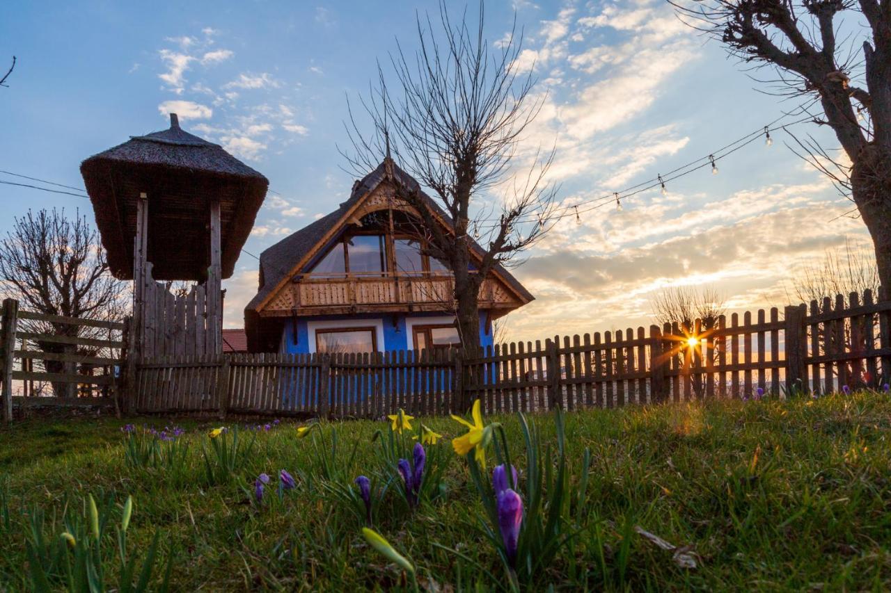 Casele Cu Stuf B&B Haus Ulrike Sălicea Exterior foto