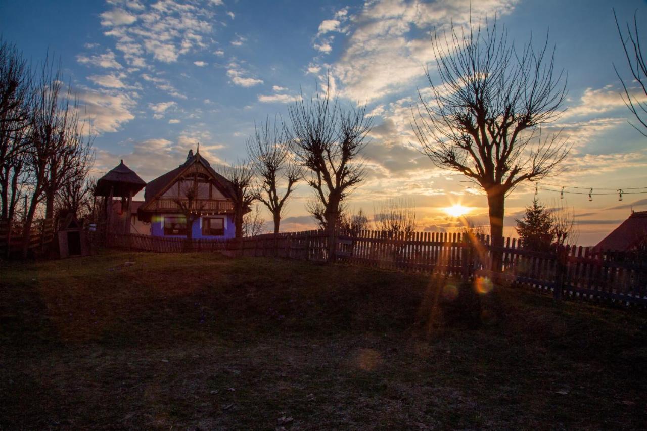 Casele Cu Stuf B&B Haus Ulrike Sălicea Exterior foto