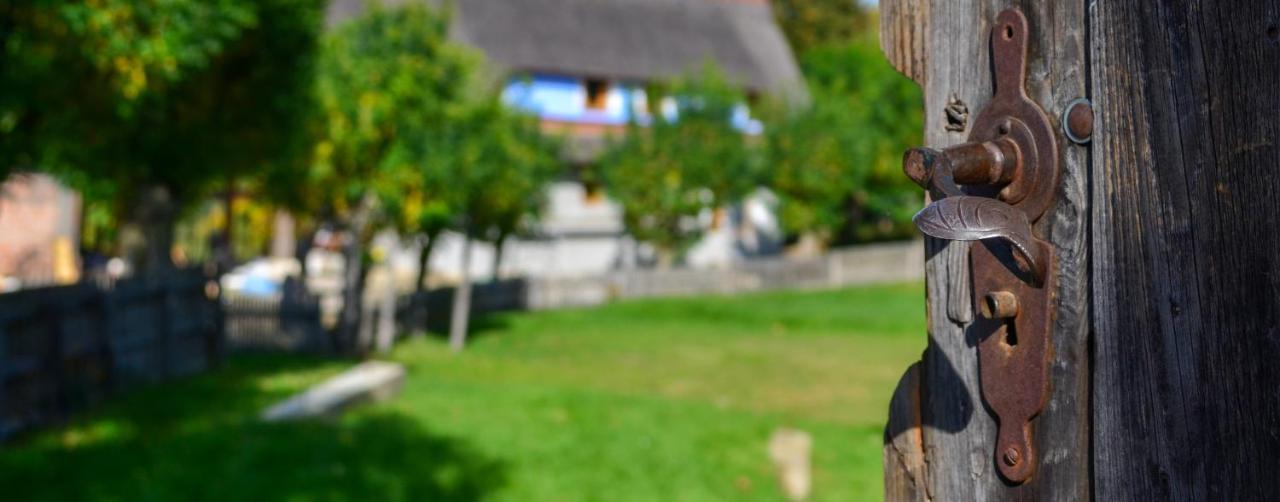 Casele Cu Stuf B&B Haus Ulrike Sălicea Exterior foto