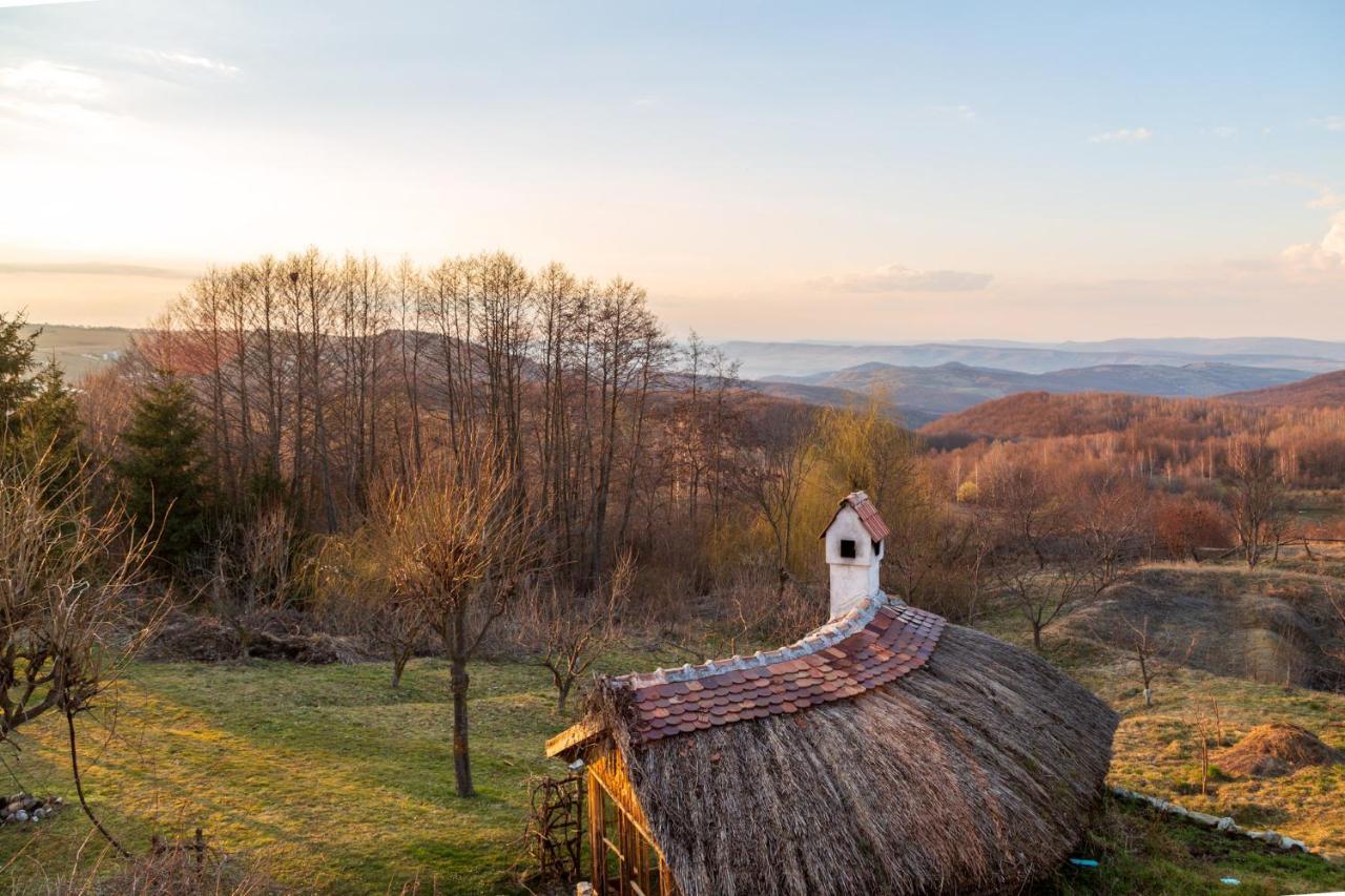 Casele Cu Stuf B&B Haus Ulrike Sălicea Exterior foto