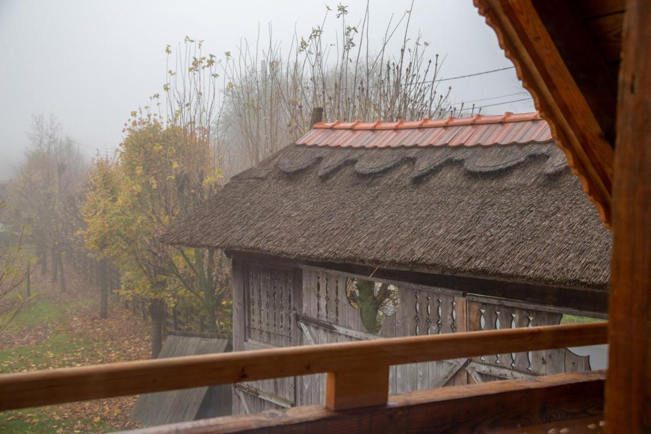 Casele Cu Stuf B&B Haus Ulrike Sălicea Exterior foto