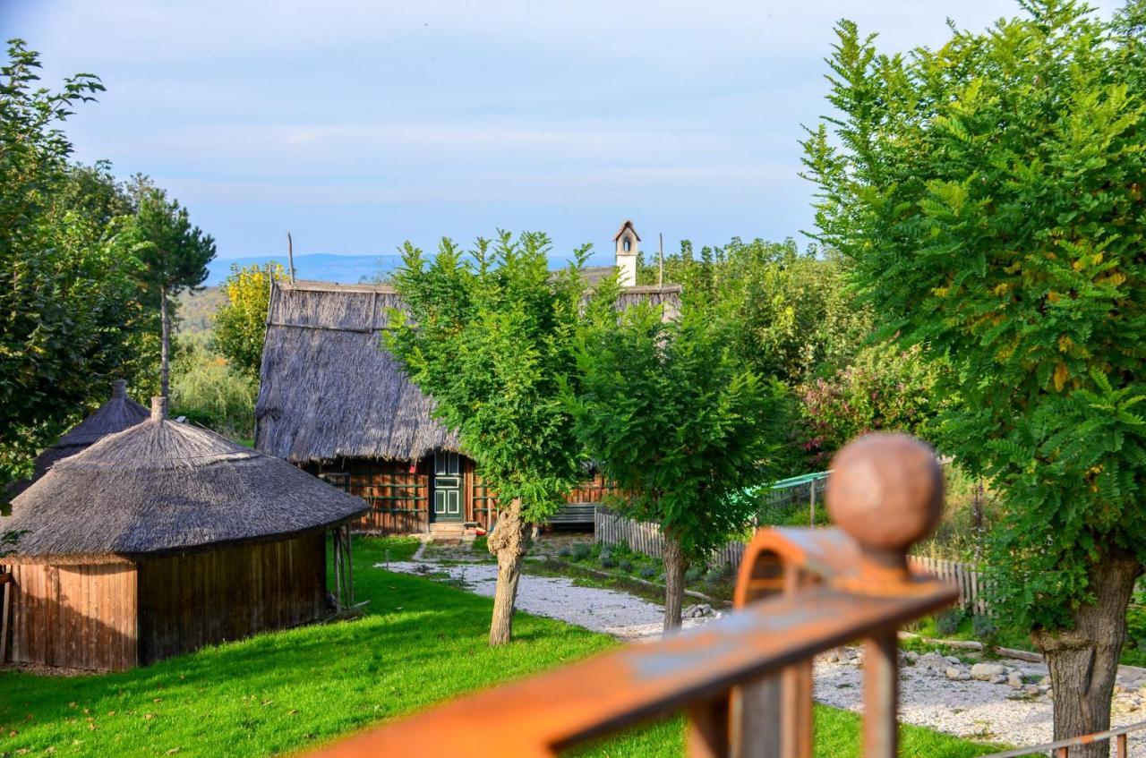 Casele Cu Stuf B&B Haus Ulrike Sălicea Exterior foto