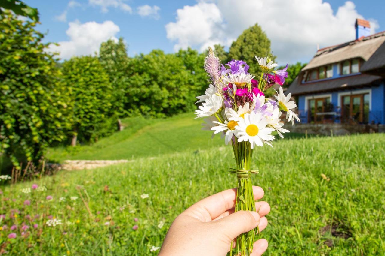 Casele Cu Stuf B&B Haus Ulrike Sălicea Exterior foto