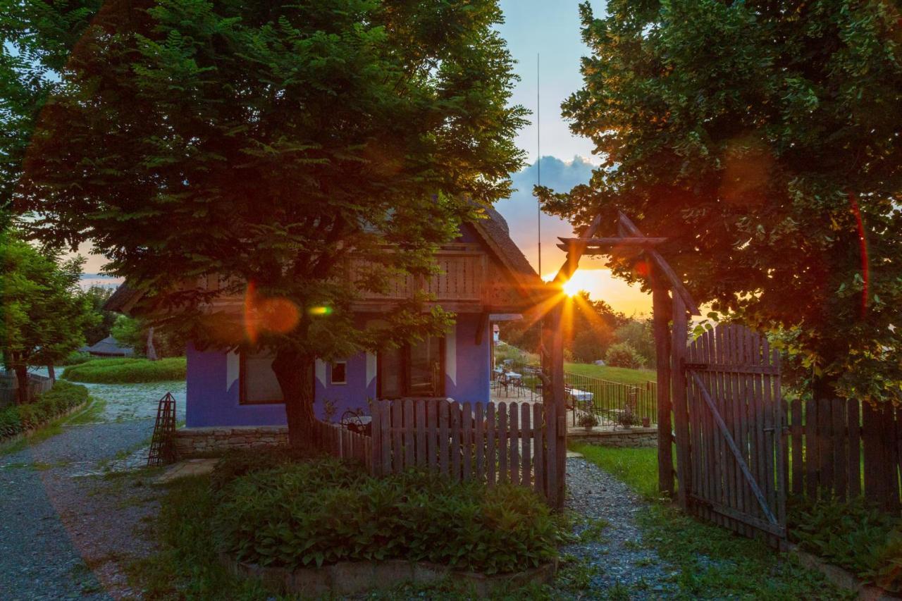 Casele Cu Stuf B&B Haus Ulrike Sălicea Exterior foto