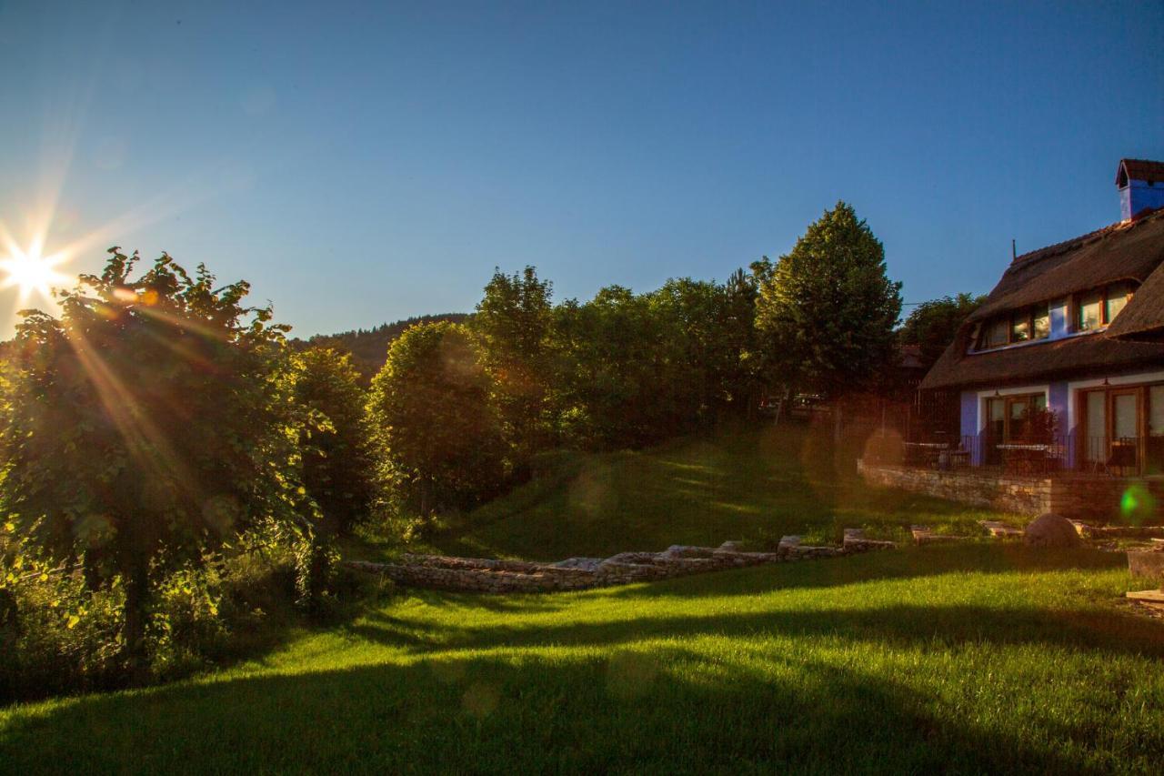 Casele Cu Stuf B&B Haus Ulrike Sălicea Exterior foto